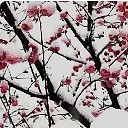 青蜂侠 头像